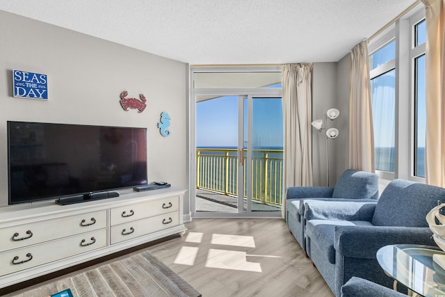 2701 S Ocean Blvd Unit 1817, North Myrtle Beach, SC 29582 - living room featuring light wood-style flooring and a textured ceiling