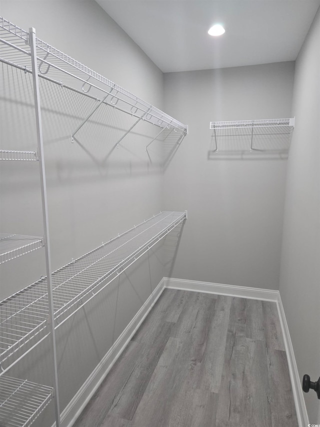 spacious closet featuring hardwood / wood-style floors