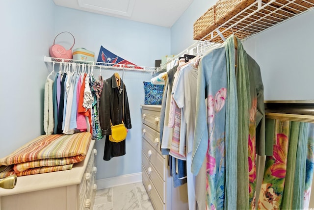 view of spacious closet