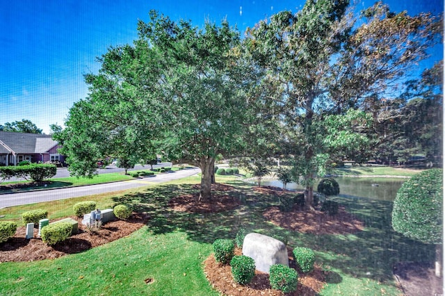 view of yard with a water view