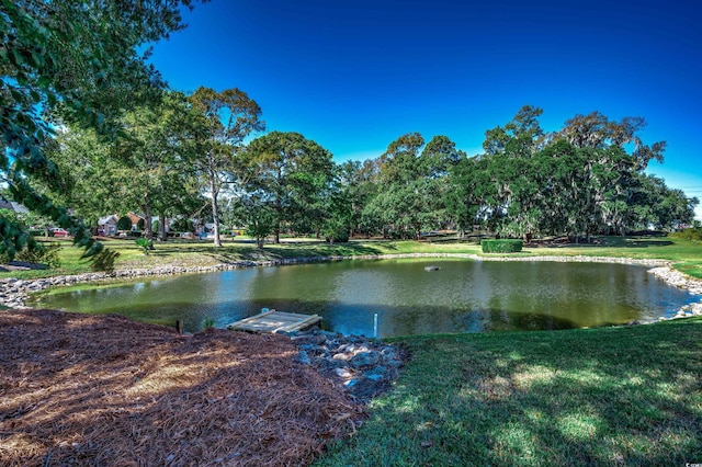 view of water feature