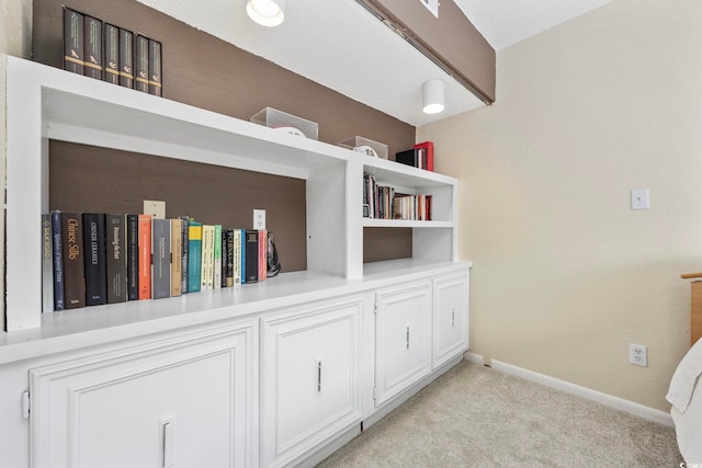 room details with carpet floors