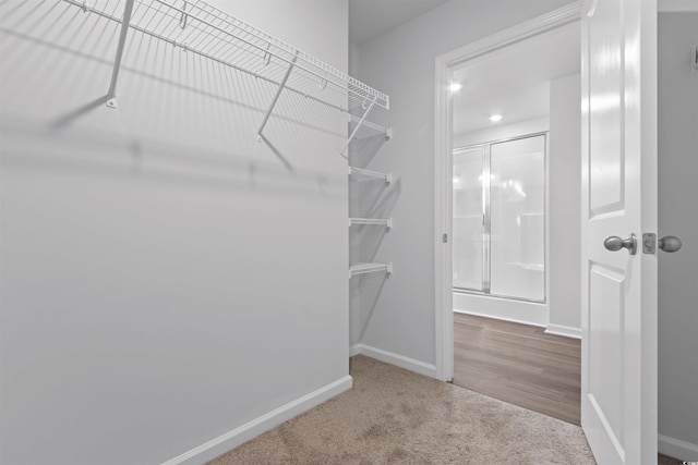 spacious closet featuring carpet flooring