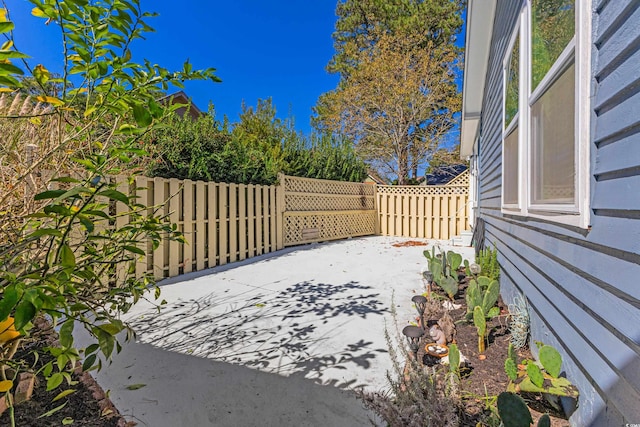 view of yard featuring a patio area