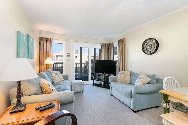 carpeted living room with ornamental molding and a textured ceiling