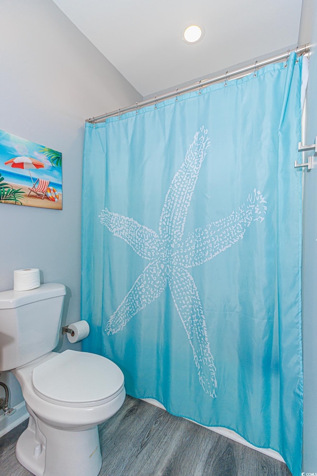 bathroom with toilet, wood-type flooring, and a shower with curtain