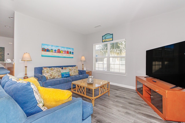 living room featuring wood-type flooring