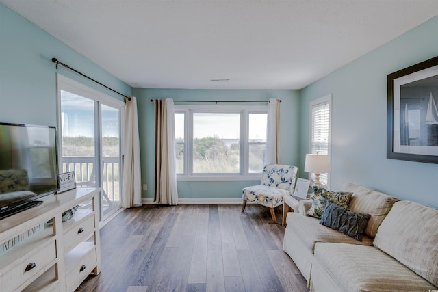 living room with wood-type flooring and a healthy amount of sunlight