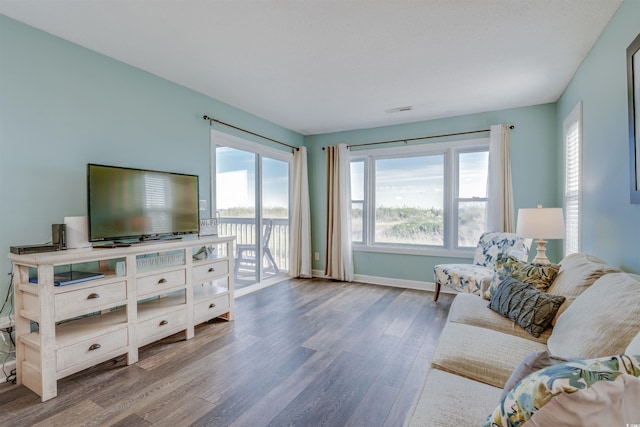 living room with hardwood / wood-style flooring