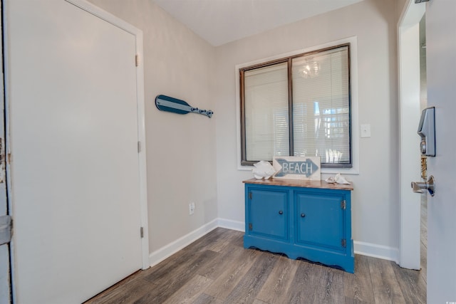 foyer entrance with dark hardwood / wood-style floors