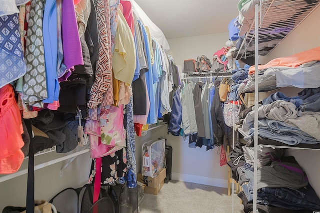 spacious closet with carpet