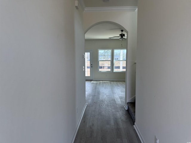 corridor featuring ornamental molding and dark wood-type flooring