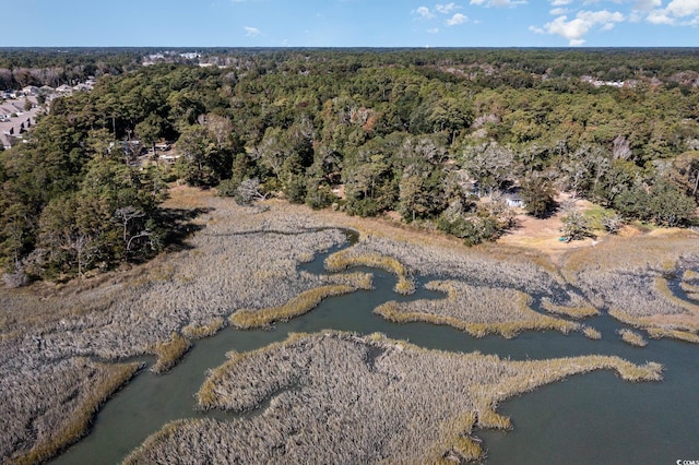 TBD H C Lewis Ln, North Myrtle Beach, SC 29582