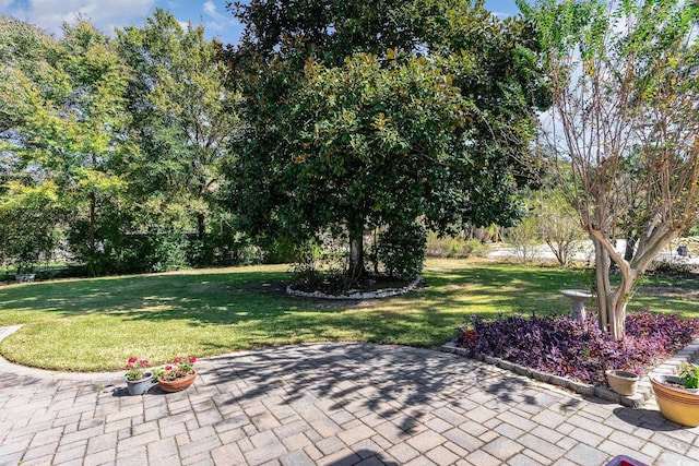 view of green lawn with a patio area