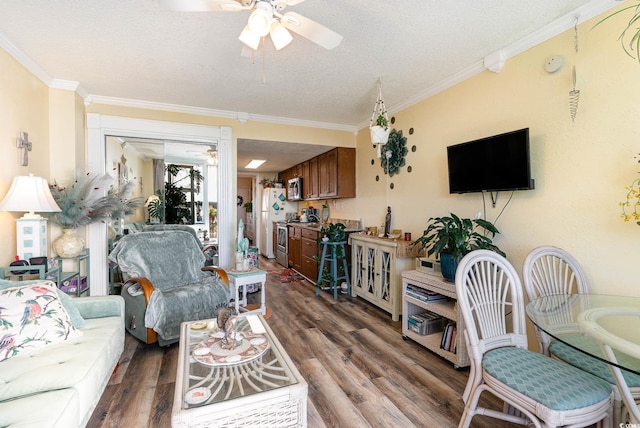 living room featuring ornamental molding and dark hardwood / wood-style floors