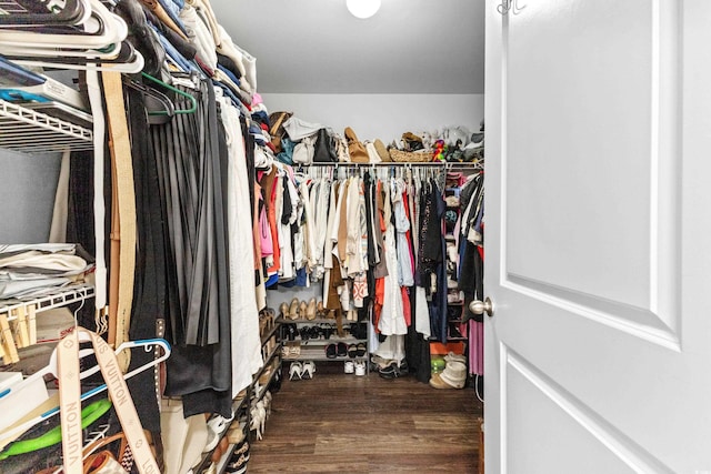 walk in closet with dark wood-type flooring