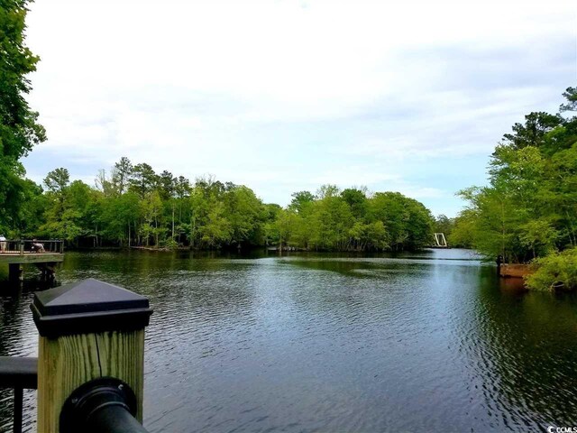 332 Kiskadee Loop Unit L, Conway, SC 29526 - photo 35