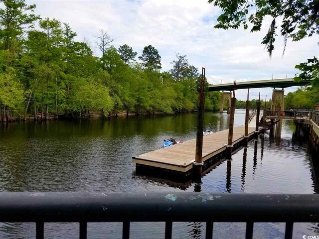 332 Kiskadee Loop Unit L, Conway, SC 29526 - photo 34