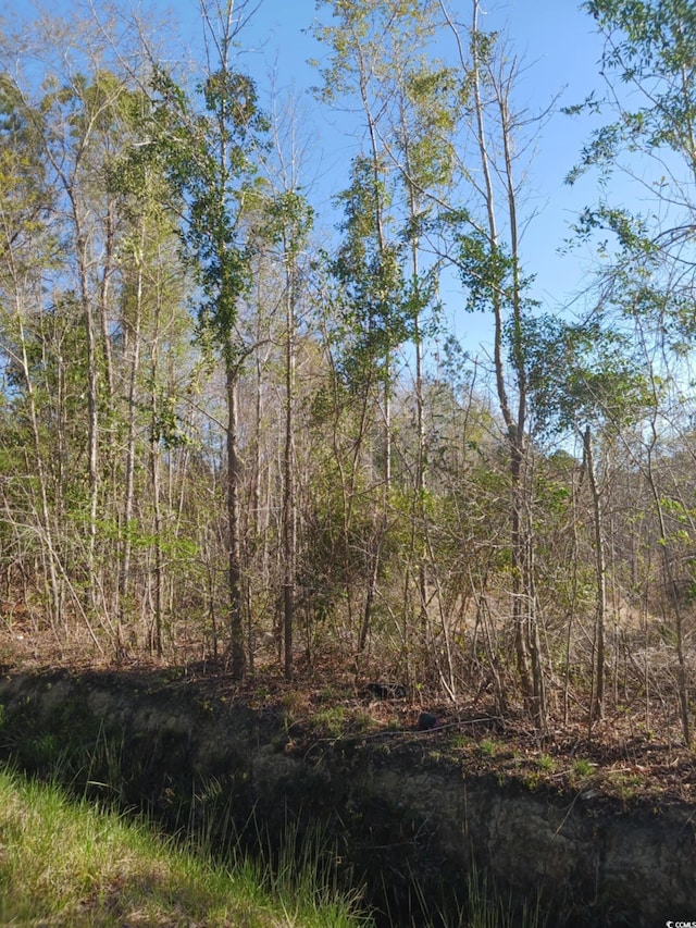 TBD Fowler School Rd, Green Sea, SC 29545 - photo 1