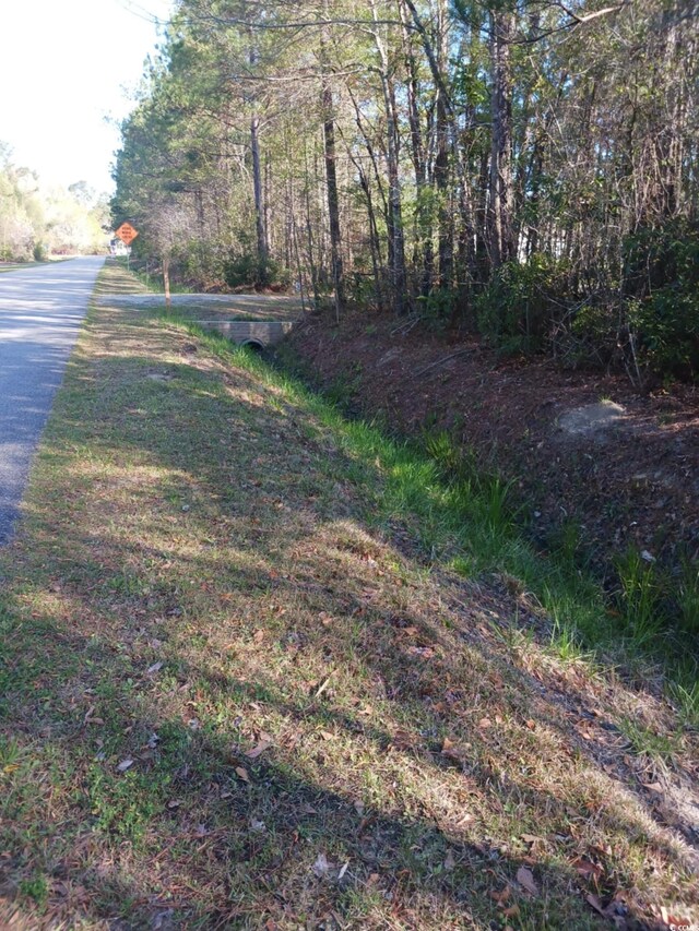 TBD Fowler School Rd, Green Sea, SC 29545 - photo 2