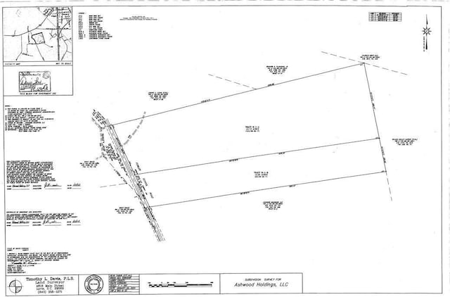 TBD Fowler School Rd, Green Sea, SC 29545 - photo 3