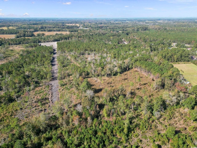 TBD Fowler School Rd, Green Sea, SC 29545 - photo 10