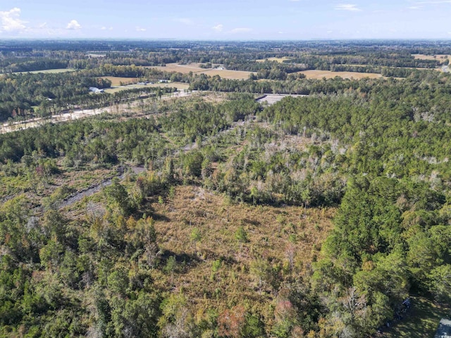 TBD Fowler School Rd, Green Sea, SC 29545 - photo 8