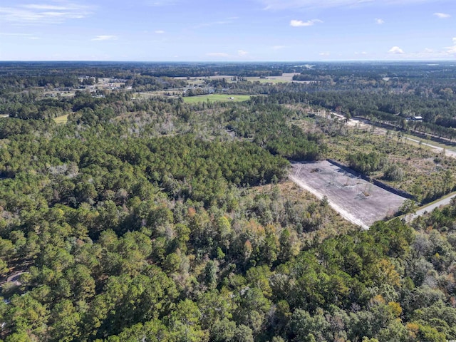 TBD Fowler School Rd, Green Sea, SC 29545 - photo 6