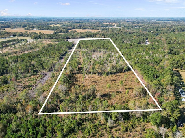 TBD Fowler School Rd, Green Sea, SC 29545 - photo 4