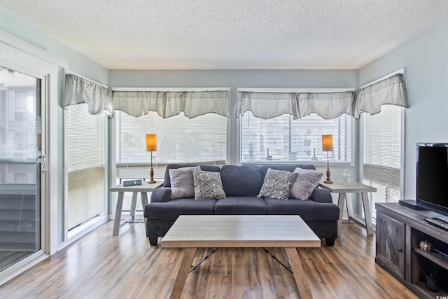 living room featuring a textured ceiling and hardwood / wood-style flooring