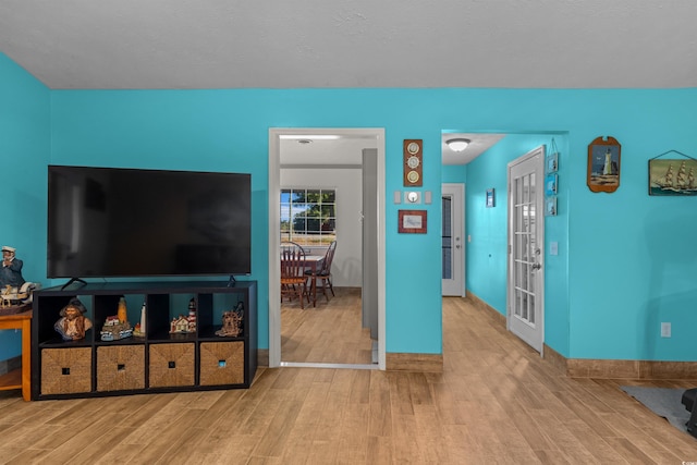 living room featuring light hardwood / wood-style floors