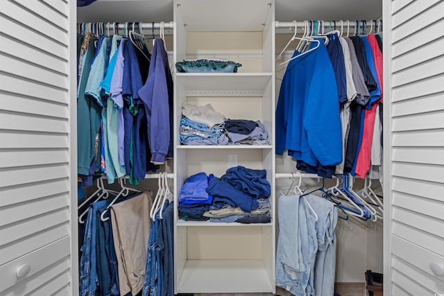 view of spacious closet