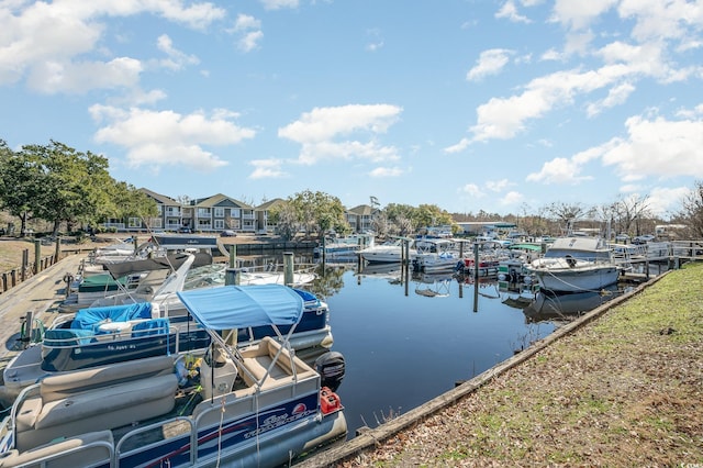 dock area with a water view