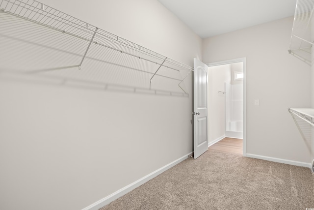 walk in closet with carpet