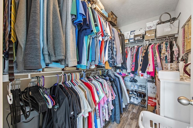 spacious closet with wood-type flooring