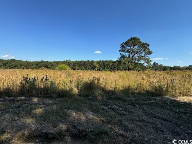 Listing photo 2 for LOT6 Jewel Ln, Conway SC 29527