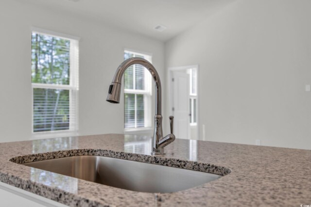 389 Sun Colony Blvd, Longs, SC 29568 - kitchen view of a sink and light stone countertops