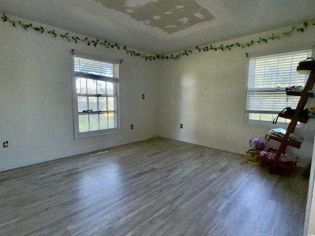 empty room featuring wood-type flooring