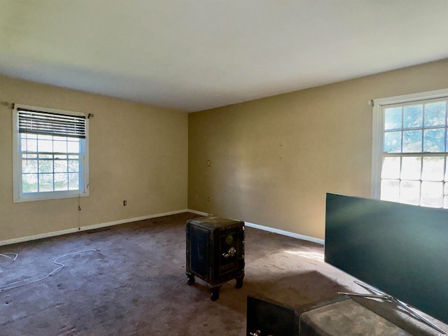 carpeted spare room with a wealth of natural light