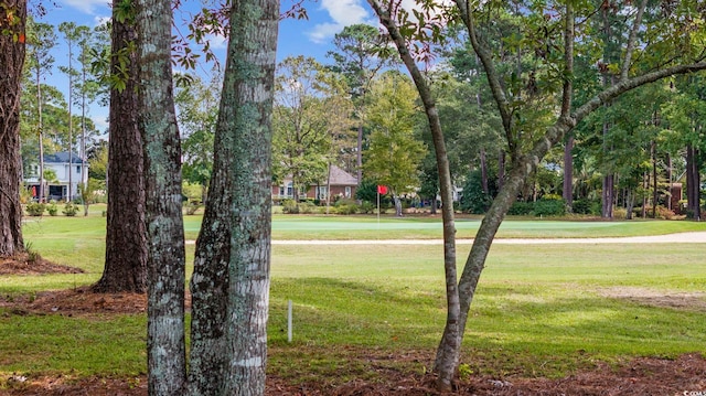 surrounding community with a lawn