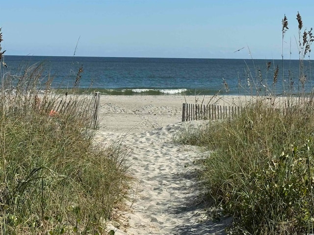 water view featuring a beach view