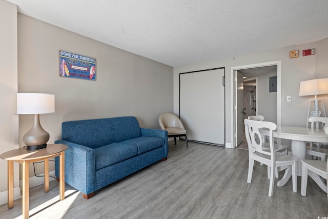 living room featuring a textured ceiling, light wood-type flooring, and electric panel