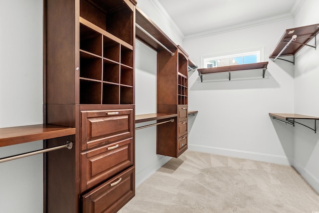 spacious closet featuring light carpet