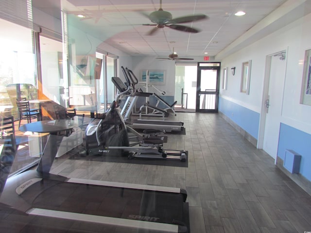 exercise room featuring a drop ceiling, wood-type flooring, and ceiling fan