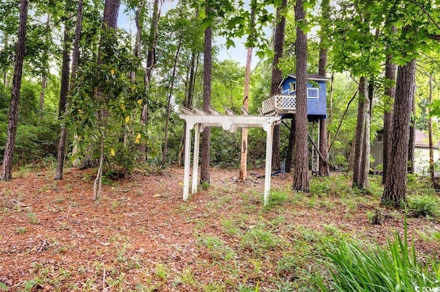 244 George Washington Trl, Georgetown, SC 29440 - view of yard