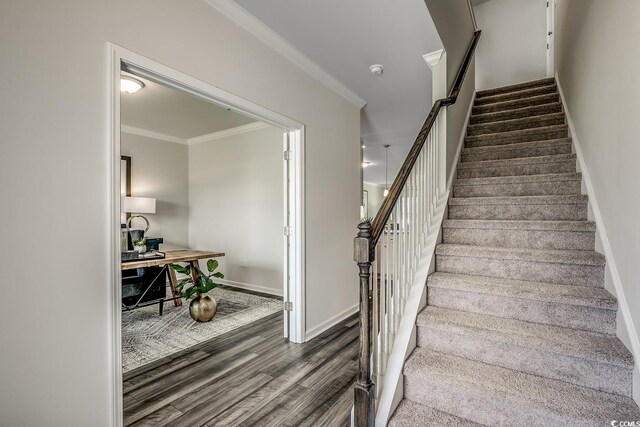 office featuring crown molding and dark hardwood / wood-style floors