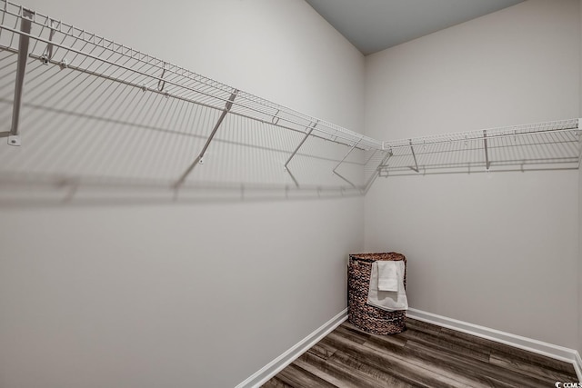 walk in closet featuring hardwood / wood-style flooring