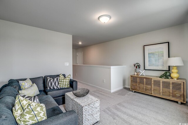 bedroom with multiple windows and carpet floors