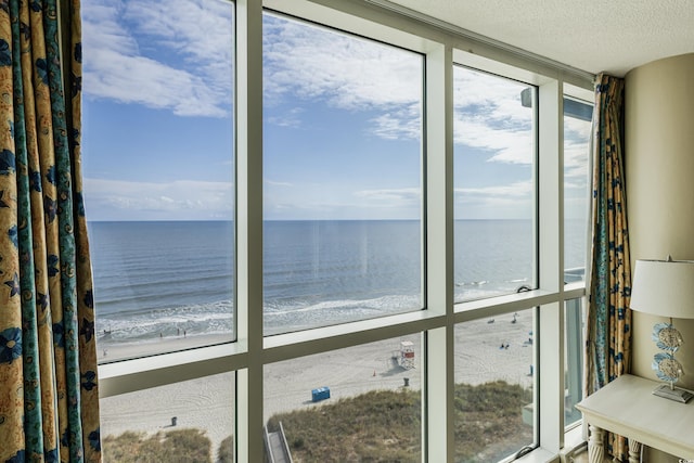 view of water feature with a beach view