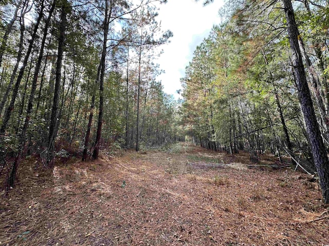 TBD Suttons Rd, Andrews SC, 29510 land for sale